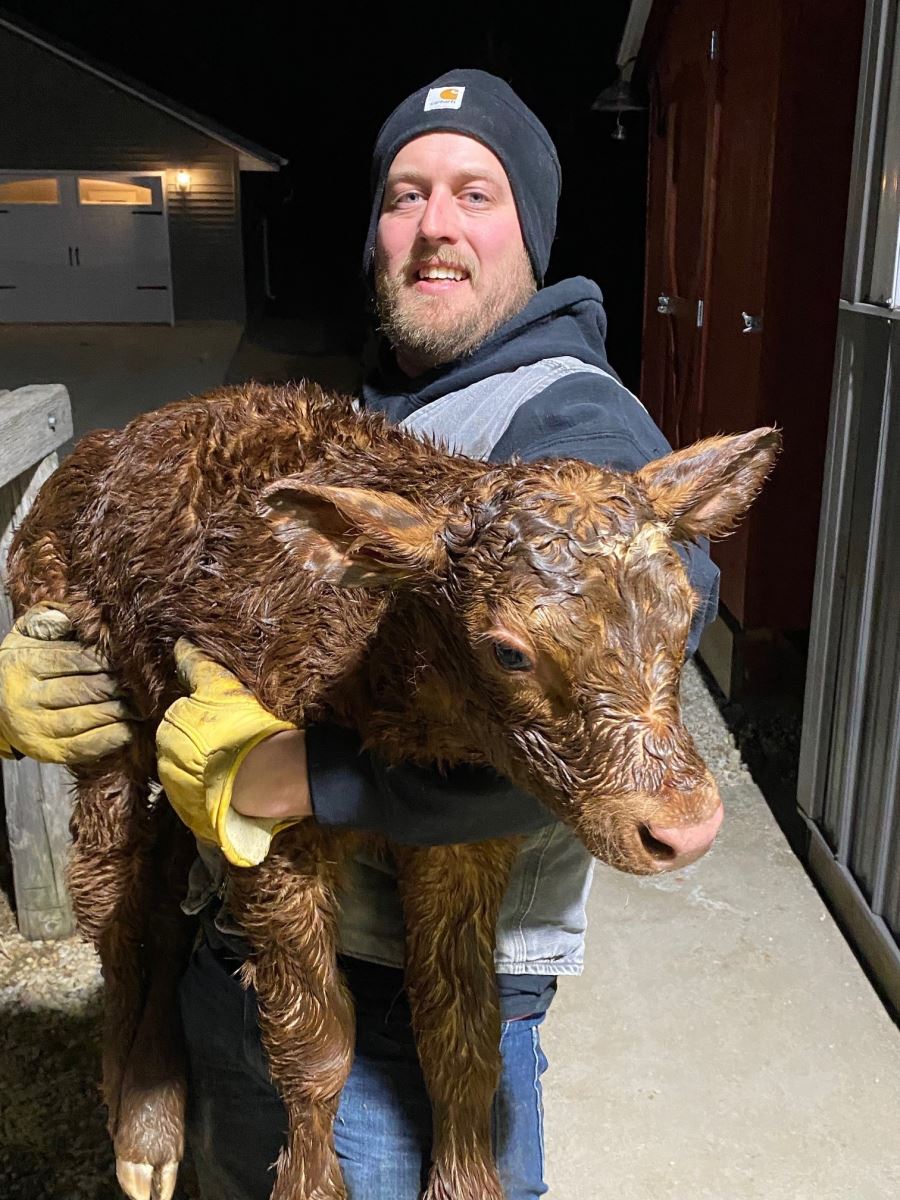alex with new calf