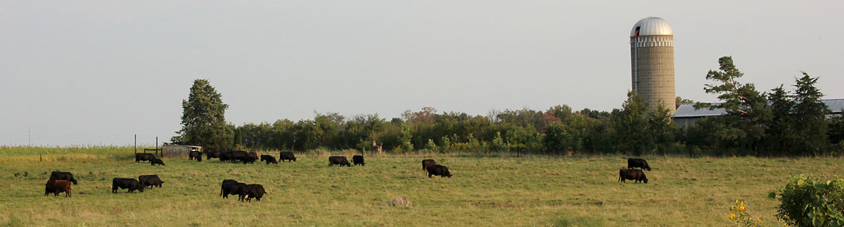 Agricultural Loans