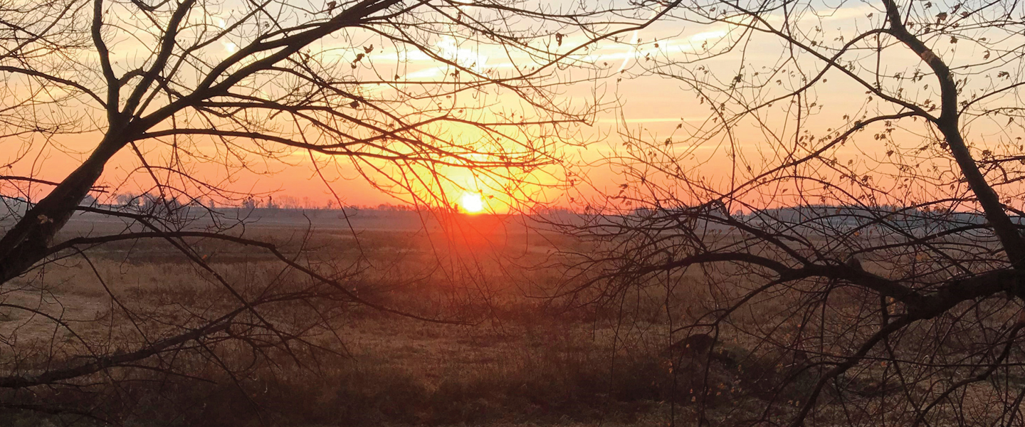 Sunrise in Chickasaw County, Deer Hunting
