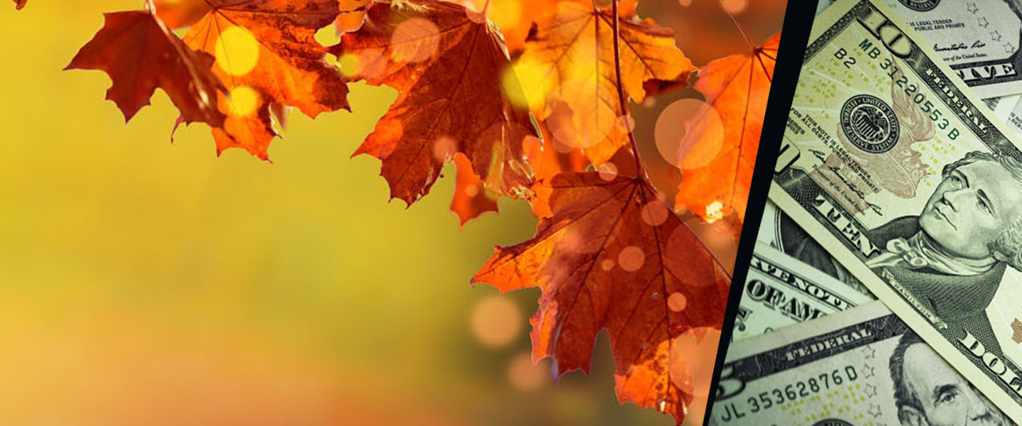 FALL CD SPECIALS!