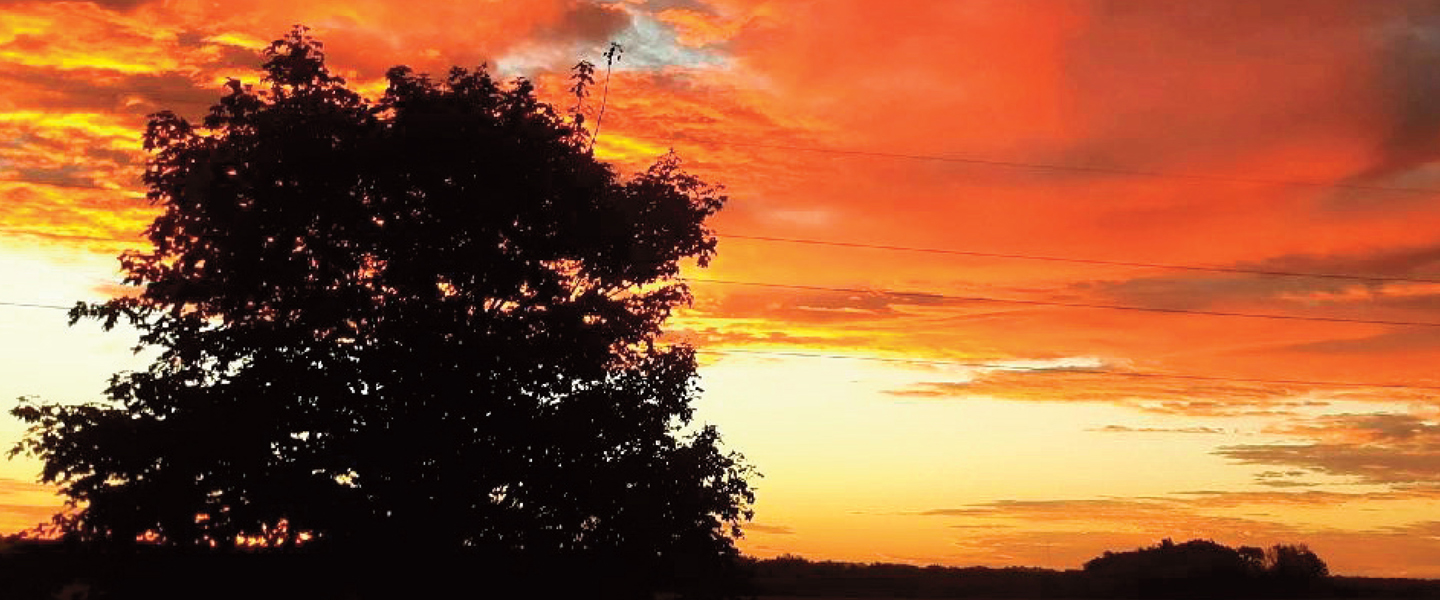 Fall Sunrise, Howard County